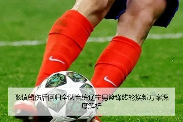 张镇麟伤后回归全队合练辽宁男篮锋线轮换新方案深度解析