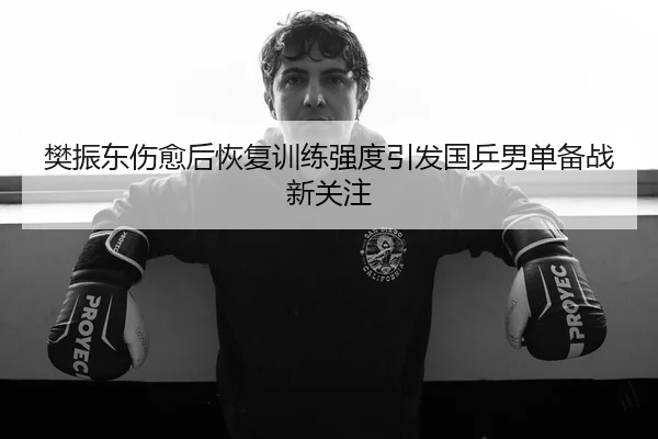 樊振东伤愈后恢复训练强度引发国乒男单备战新关注