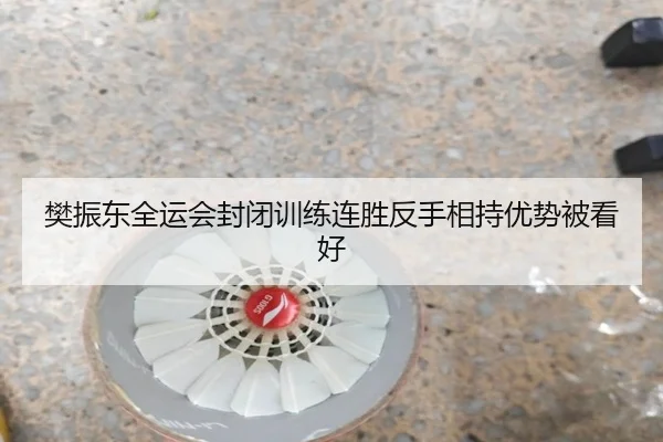 樊振东全运会封闭训练连胜反手相持优势被看好